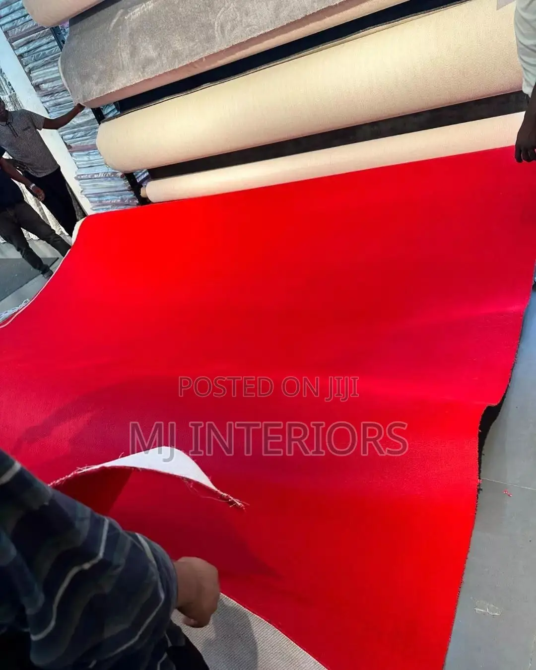 Stylish Delta Wall to Wall Carpet for Modern Interiors