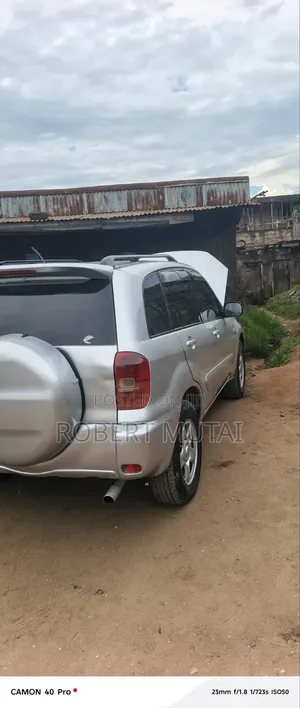 Toyota RAV4 2002 Silver