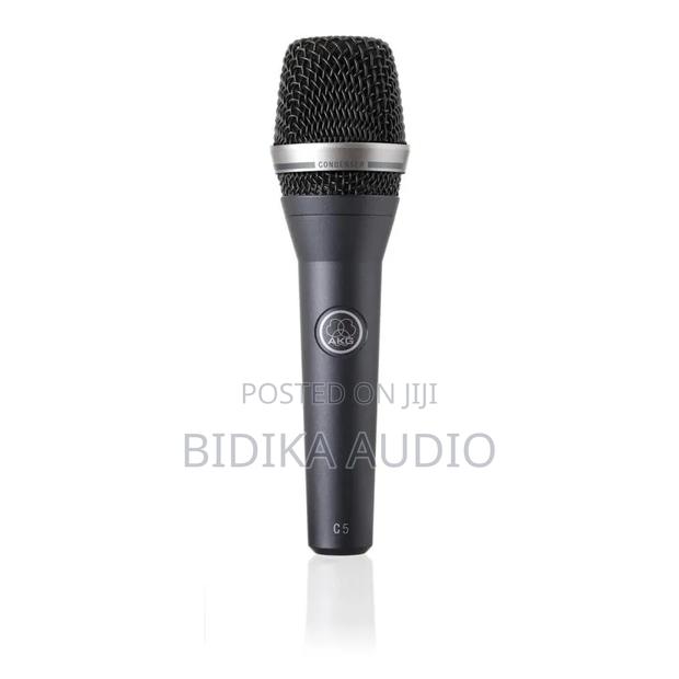 Akg C5 Professional Condenser Vocal Microphone