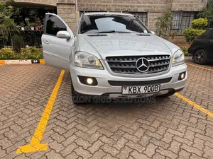 Mercedes-Benz M Class 2010 Silver