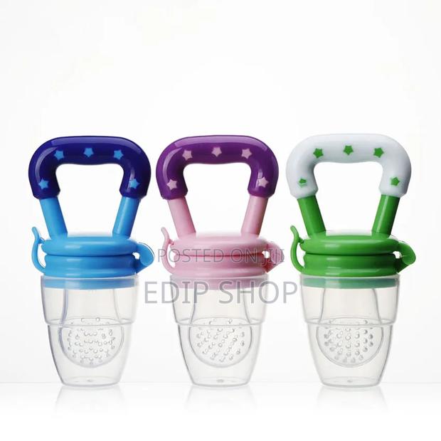 Best Infant Fruit Feeder
