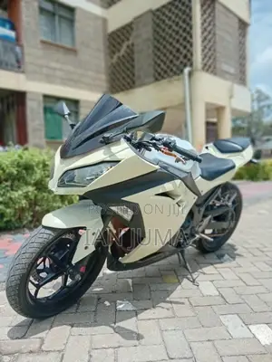 Kawasaki Ninja 300 2013 White