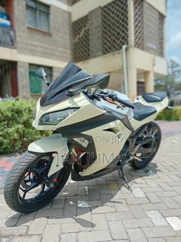 Kawasaki Ninja 300 2013 White