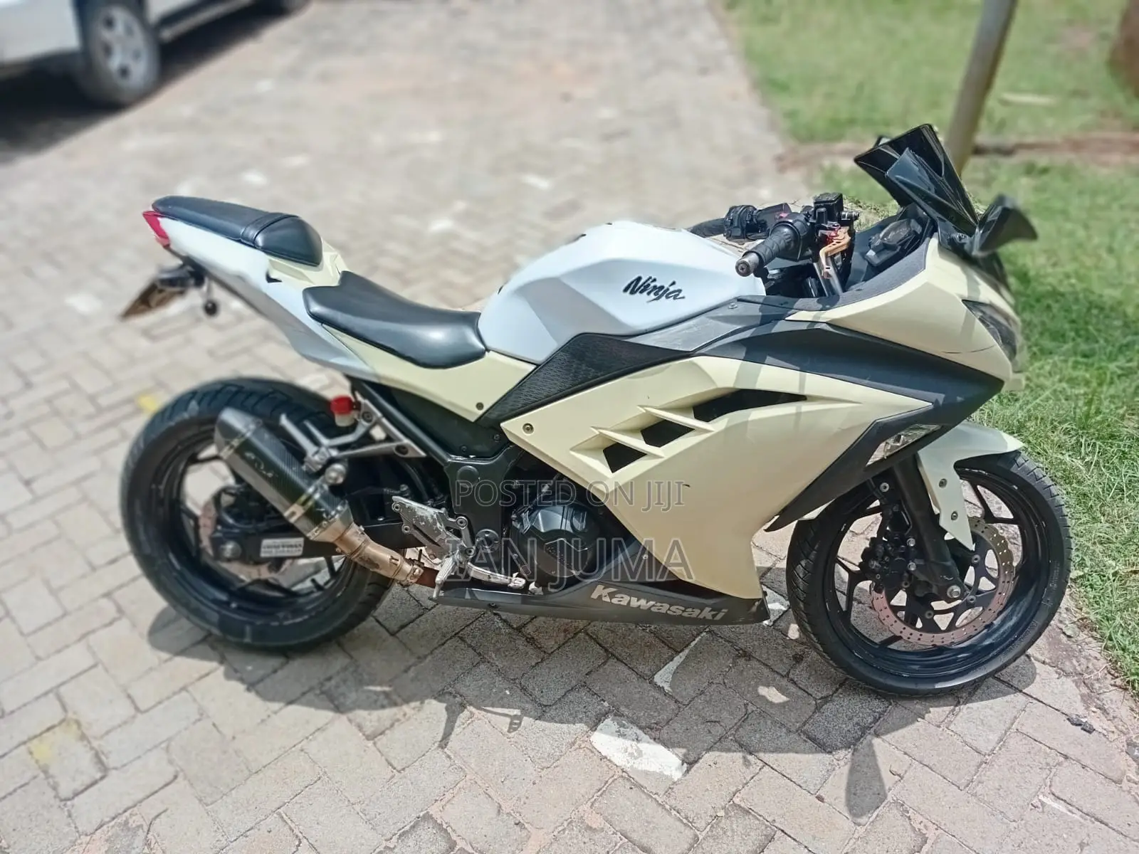 Kawasaki Ninja 300 2013 White