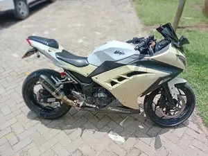 Kawasaki Ninja 300 2013 White