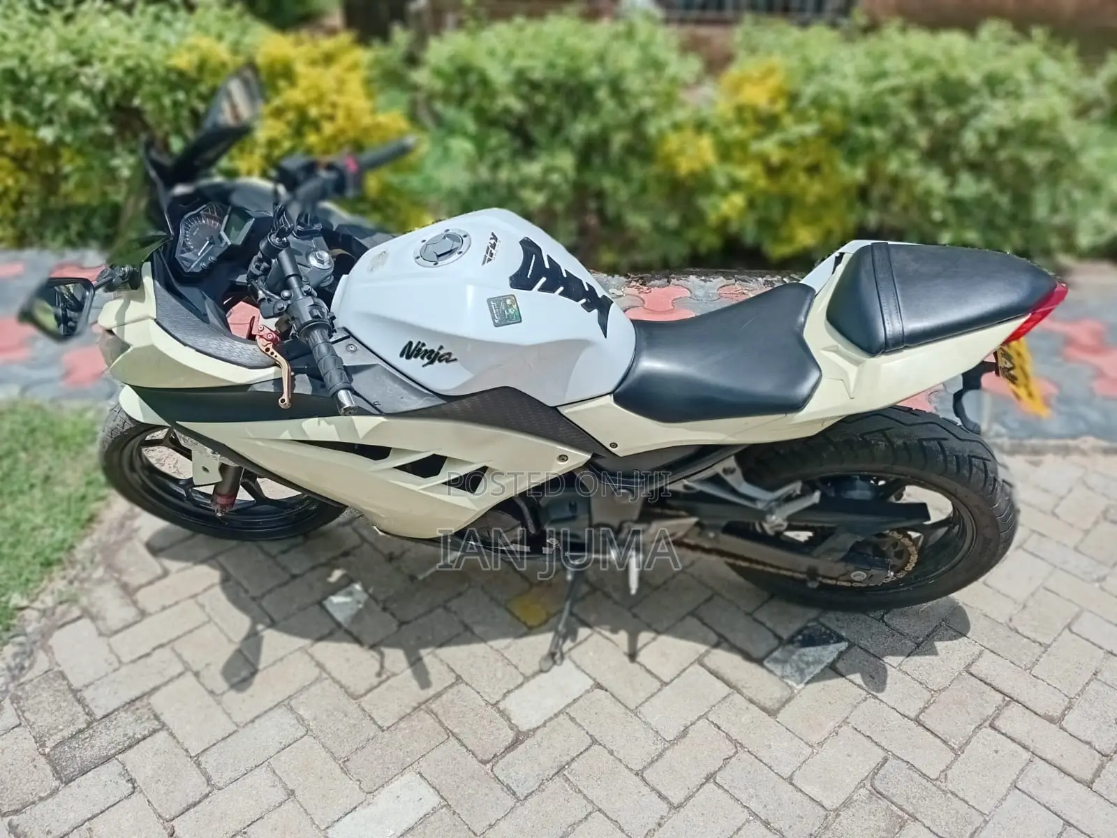Kawasaki Ninja 300 2013 White