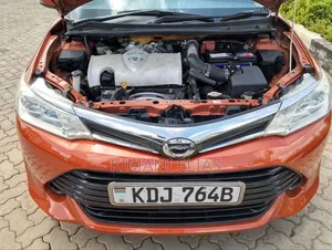 Toyota Corolla Fielder 2015 Orange