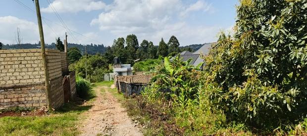Land for Sale - thumbnail 2