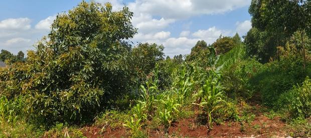 Land for Sale - thumbnail 4