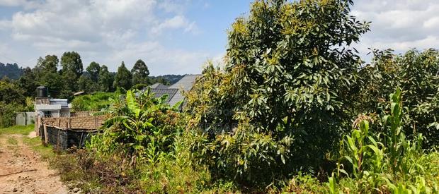 Land for Sale - thumbnail 5