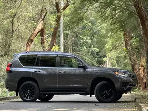 Toyota Land Cruiser Prado 2.8 2021 Gray