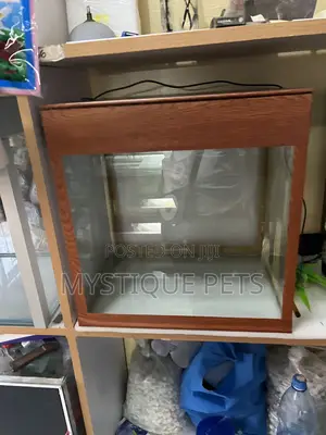 Small Aquarium