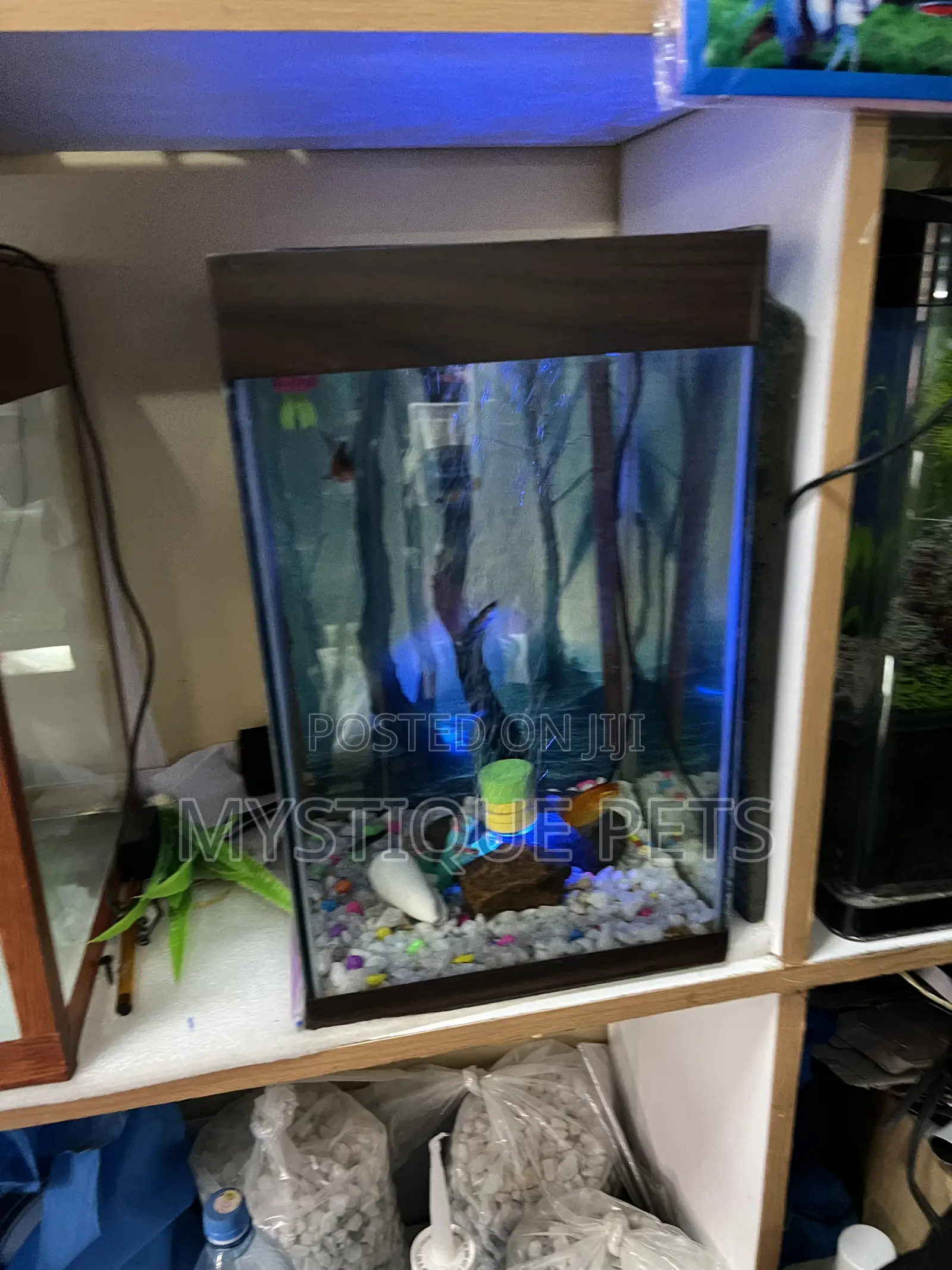 Small Tower Aquarium