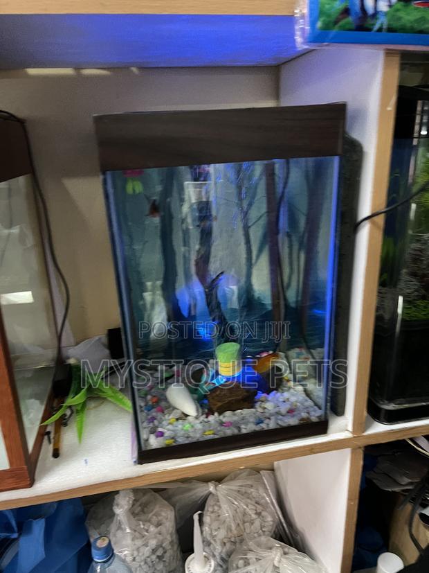 Small Tower Aquarium