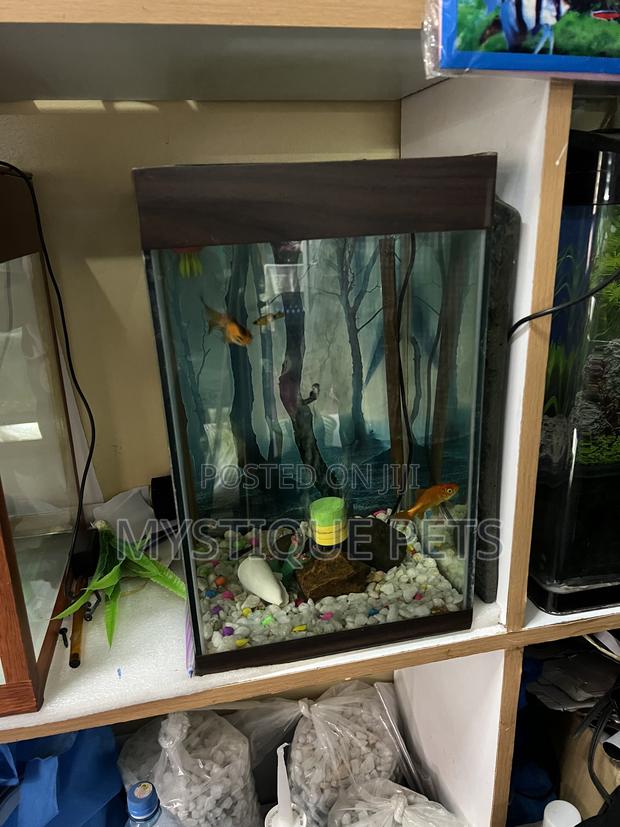 Small Tower Aquarium - thumbnail 2