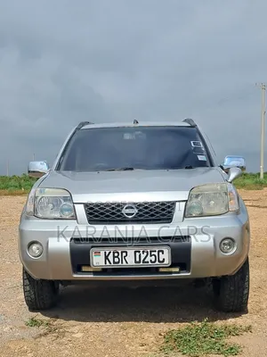 Nissan X-Trail 2005 Silver