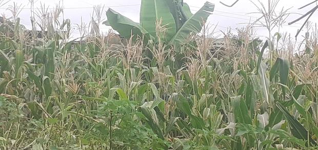 Ready Available Plot on Sale!.