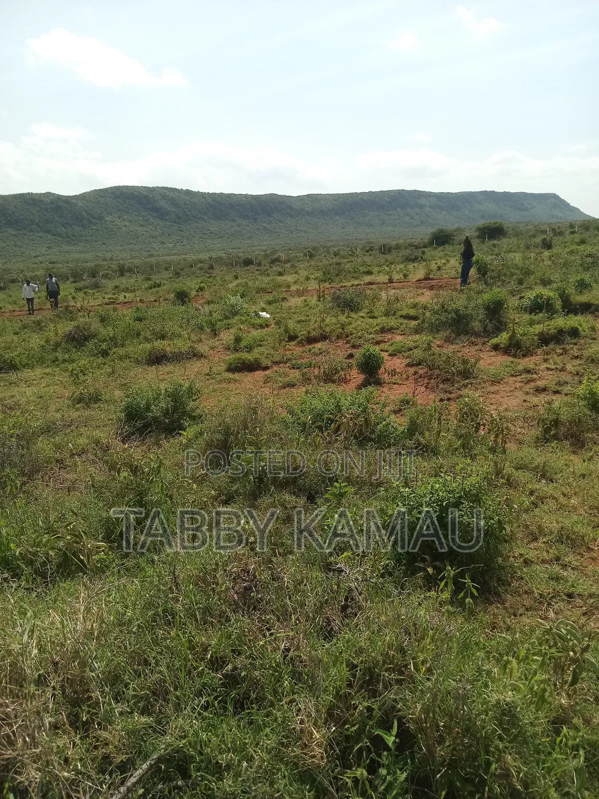 Nachu Plot for Sale Going at