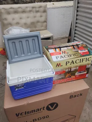 4.5 Litres Portable Cooler Box for Food Drinks