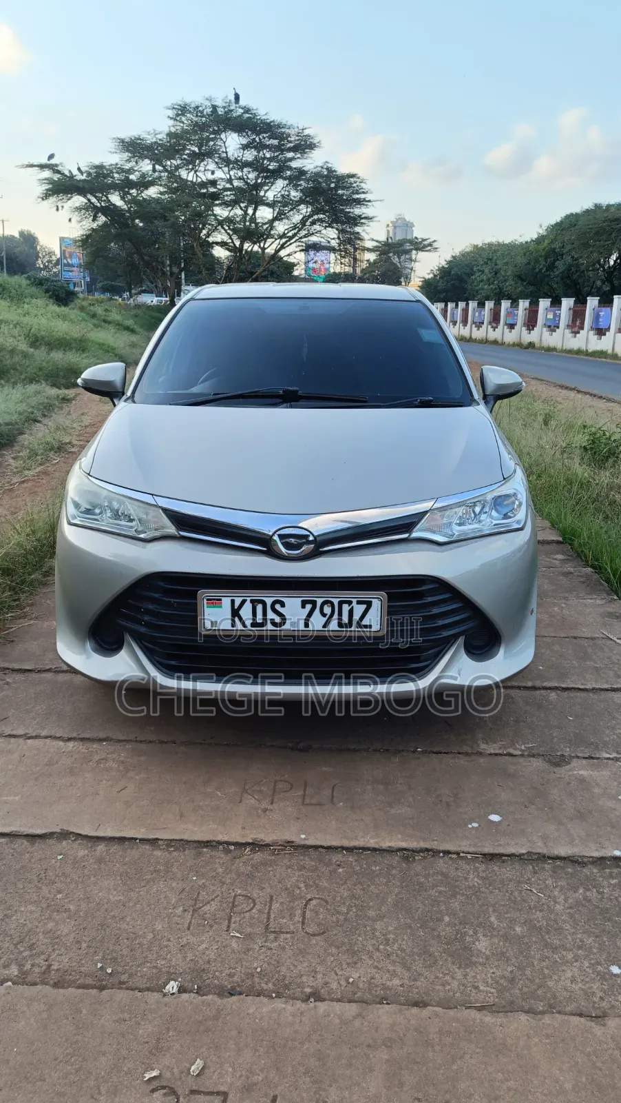 Toyota Axio 2015 Gold