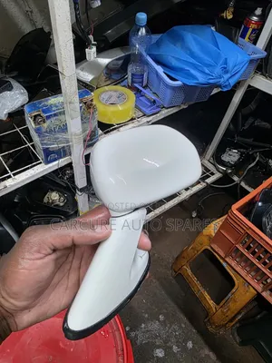 Harrier 240 G Fender Wing Mirror