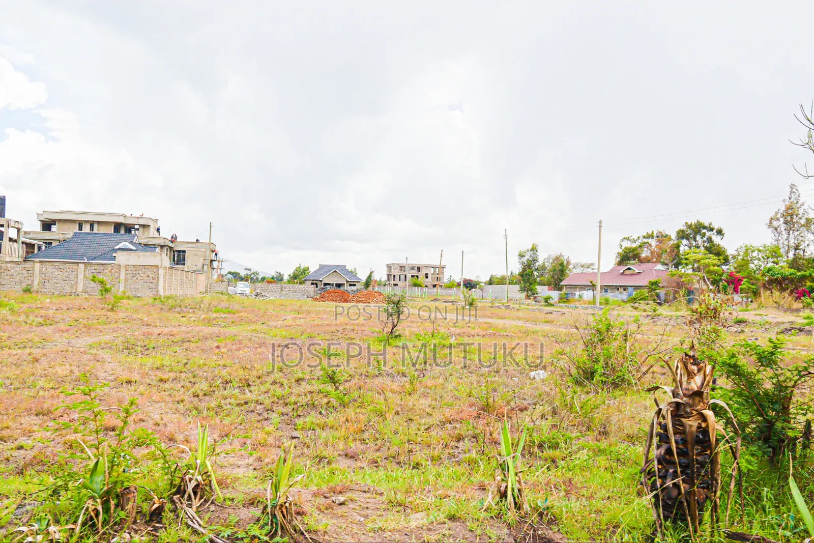 Prime Plots in Thika Salama