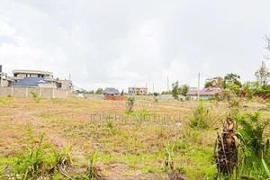 Prime Plots in Thika Salama