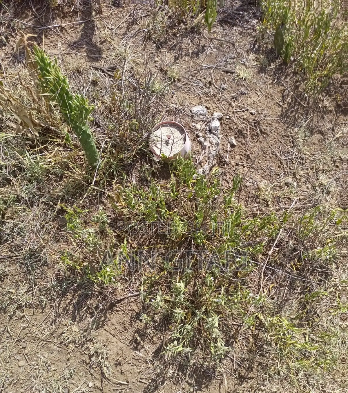 For Sale: 1/4 Acre Plot - Gilgil