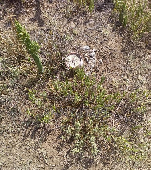 For Sale: 1/4 Acre Plot - Gilgil