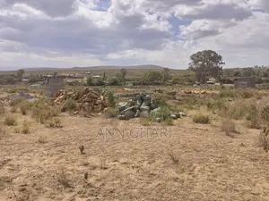 For Sale: 1/4 Acre Plot - Gilgil