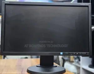 Nec E201w 20 Inch Monitor 
LCD Stretch