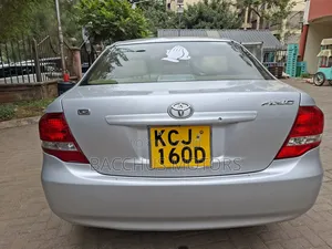 Toyota Axio 2010 Silver