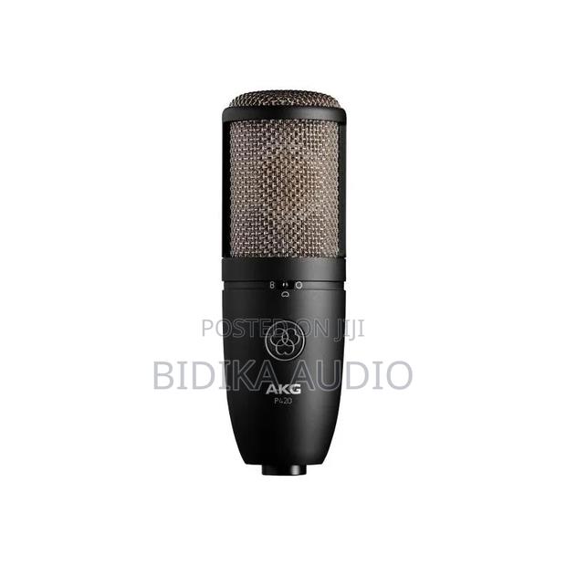 Akg P420 Multi-Pattern Condenser Microphone