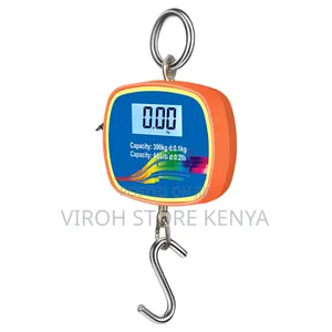 300kgs Hanging Scale A21 Digital Crane Scale