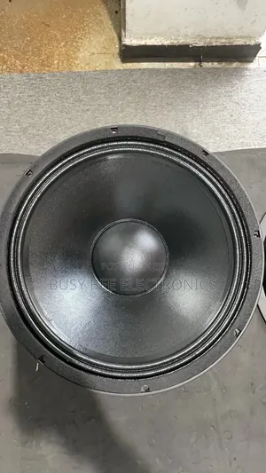 Elx118 Passive Sub Single 18 Inch Indoor and Outdoor Subwoofer
