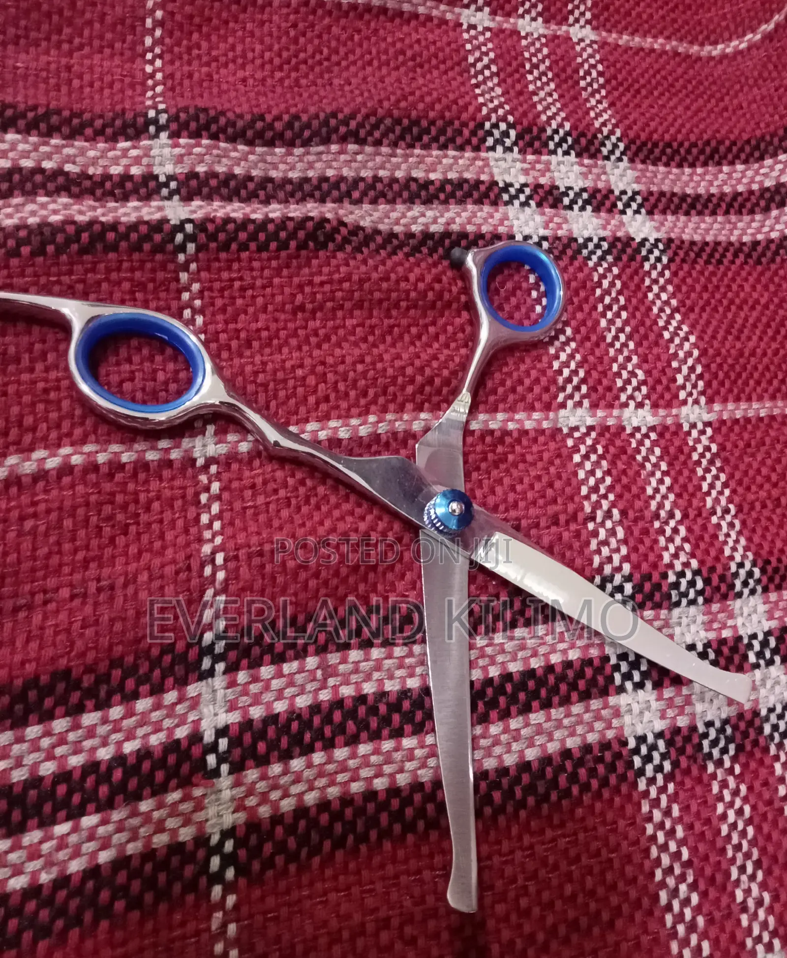 Professional Hair Cutting Pet Scissors