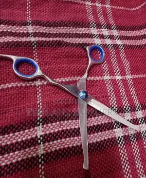 Professional Hair Cutting Pet Scissors