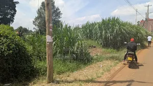 Makuyu Prime 613 Acre Ideal for Coffee, Makadamia, Avocado Farming