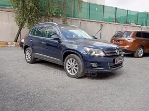 Volkswagen Tiguan 2012 Blue