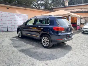 Volkswagen Tiguan 2012 Blue