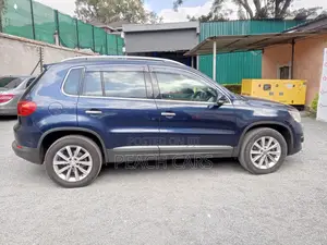 Volkswagen Tiguan 2012 Blue