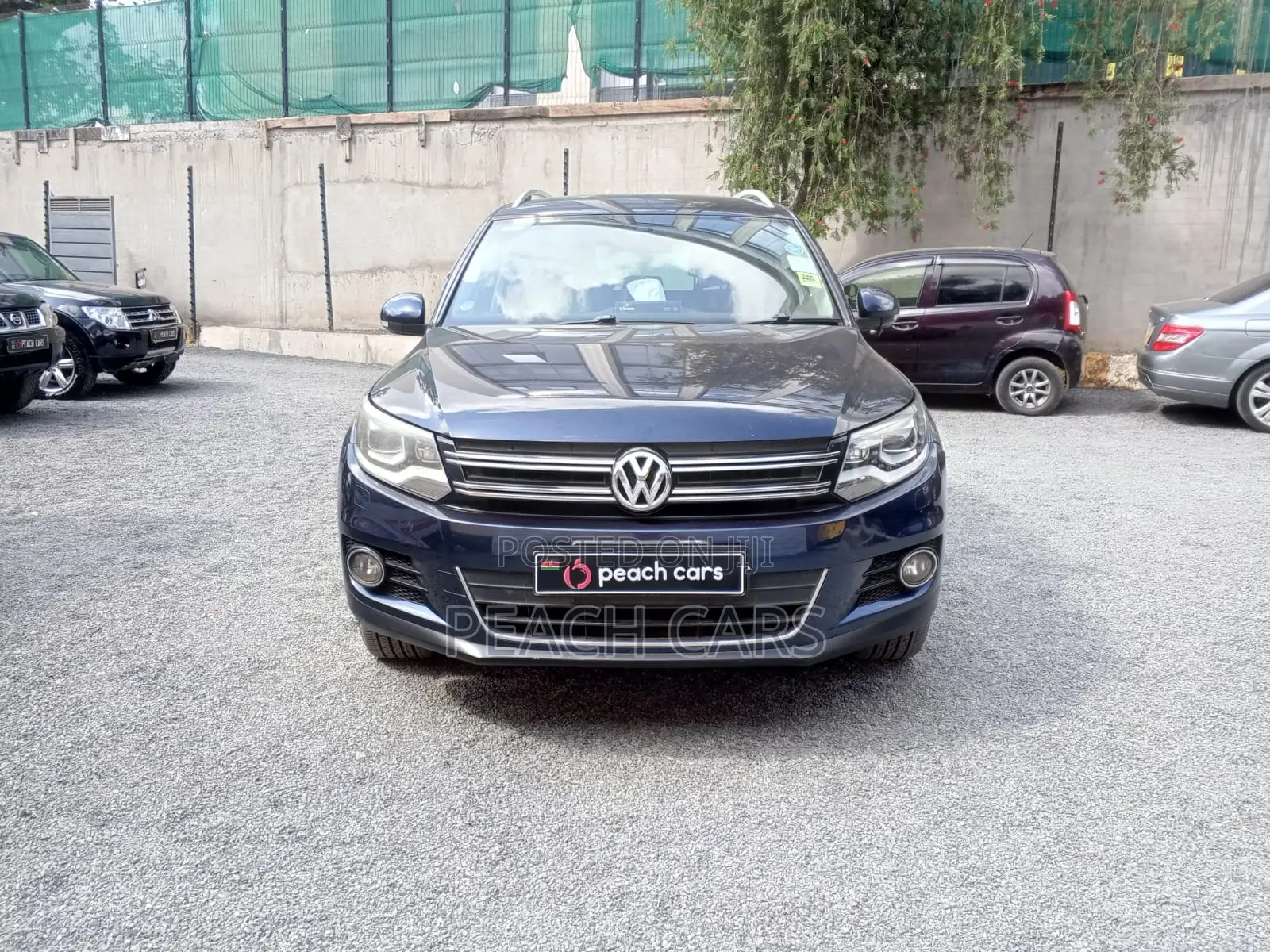 Volkswagen Tiguan 2012 Blue