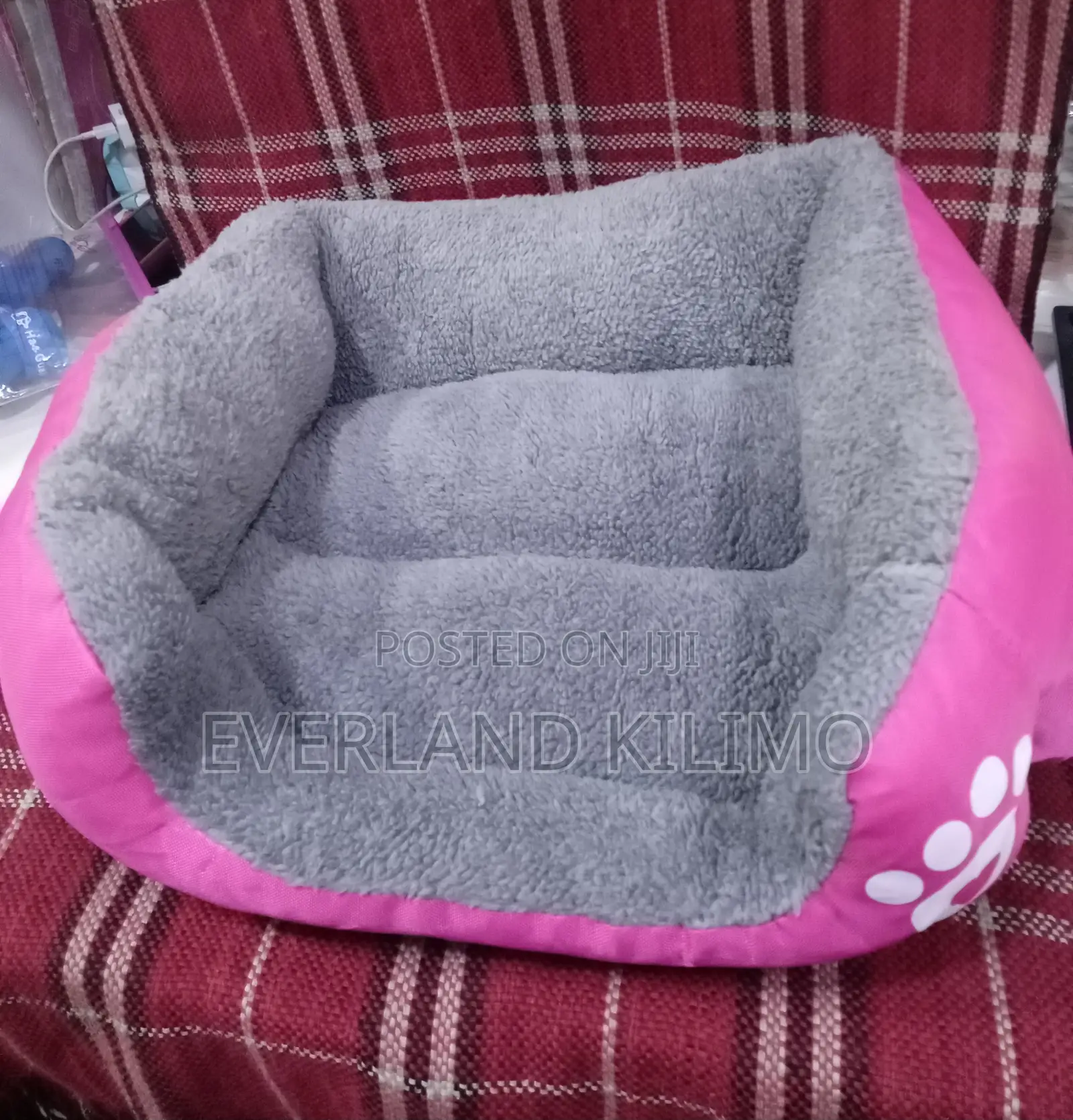 Beds for Small Dogs