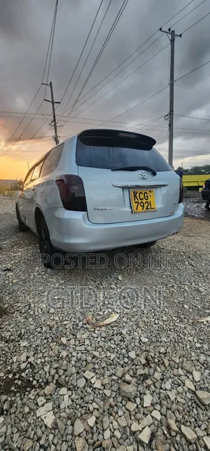 Toyota Corolla Fielder 2009 Silver