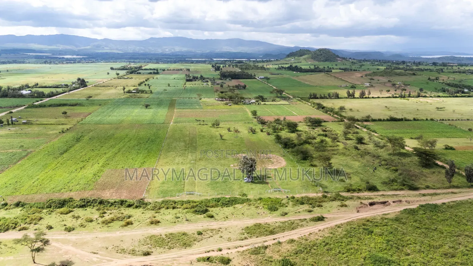 Naivasha South Lake Road at Kongoni