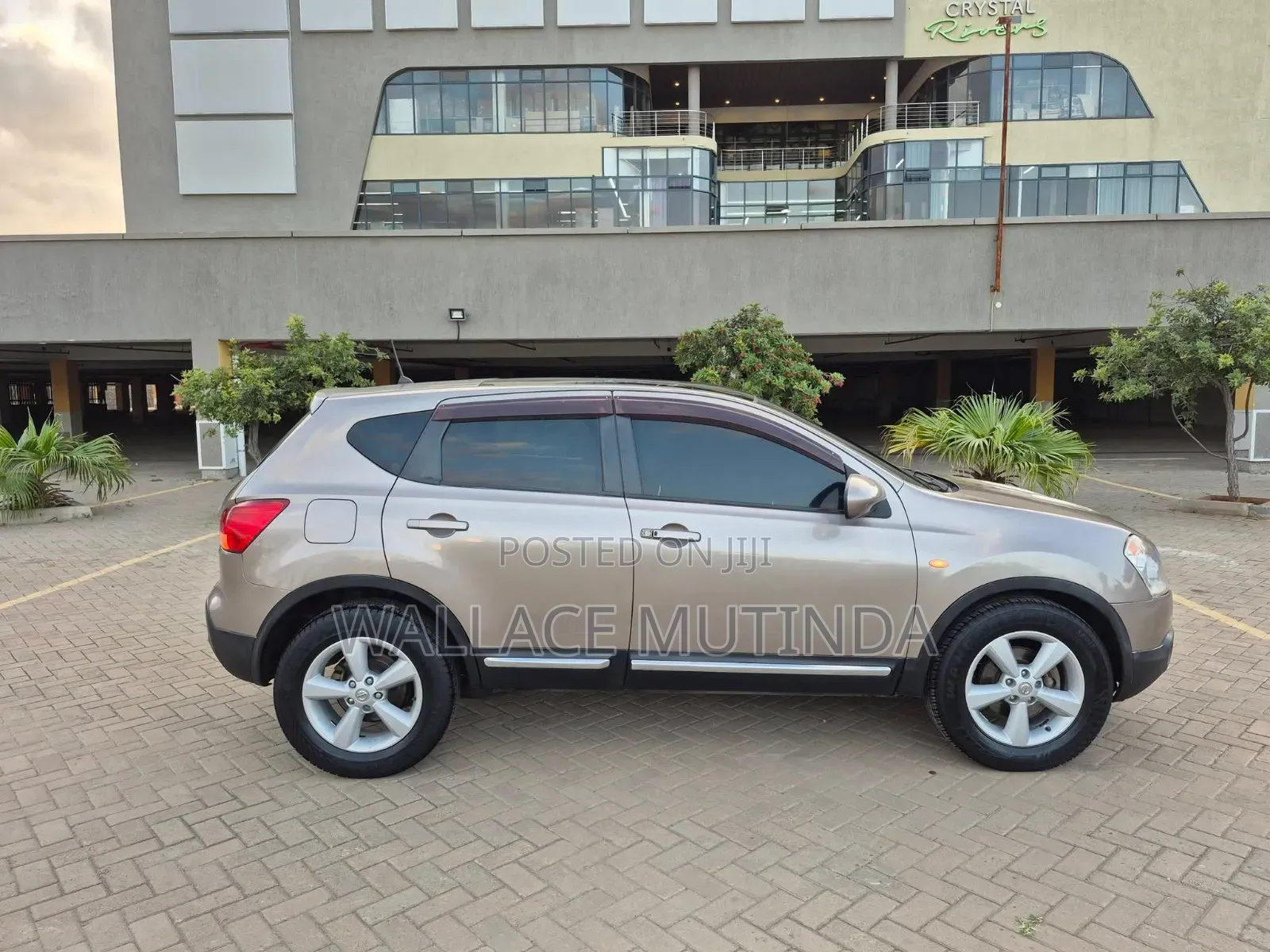 Nissan Dualis 2010 Brown