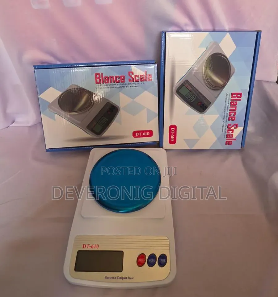 Dt610 Blance Scale