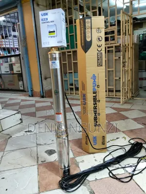 Electric Submersible Water Pump