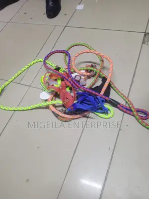 Doglish Chain