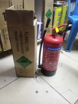 Flamez Fire